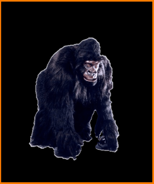 Katalog kostume # 059
Gorilla m/ formstøbt hovede