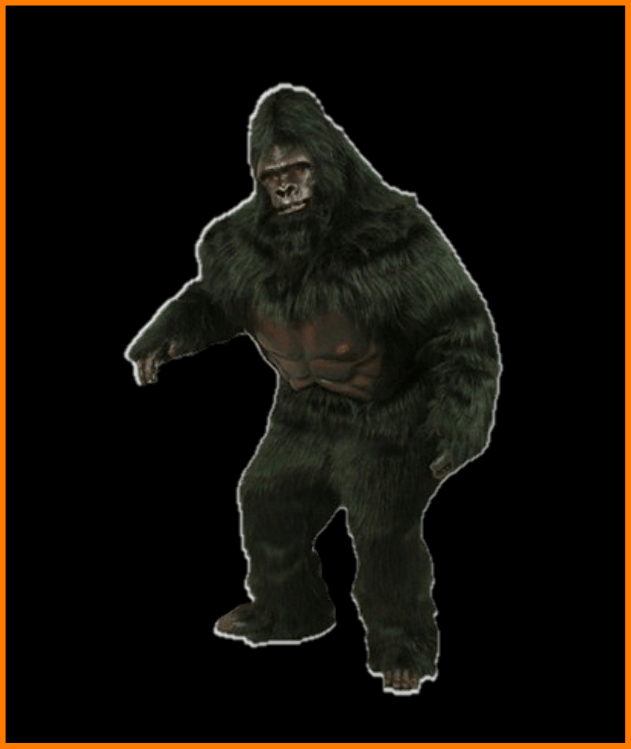 Katalog kostume # 058
Gorilla m/ formstøbt hovede